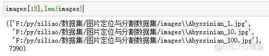 kitti数据集 图像语义分割 图像处理语义分割_ide_35