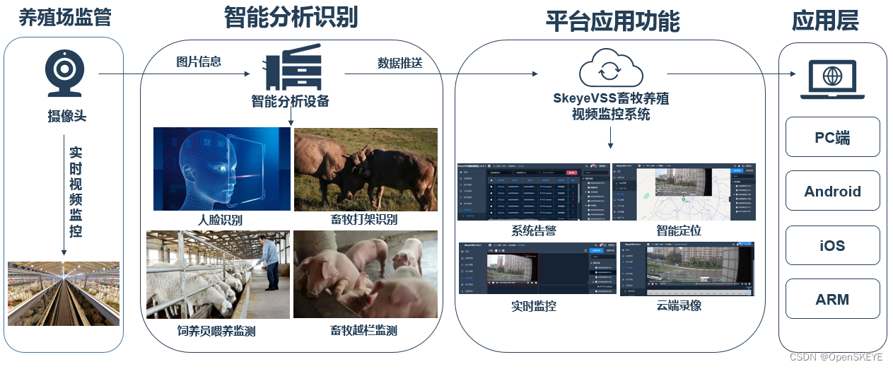 ai视频监控方案 ai view监控_人工智能_02