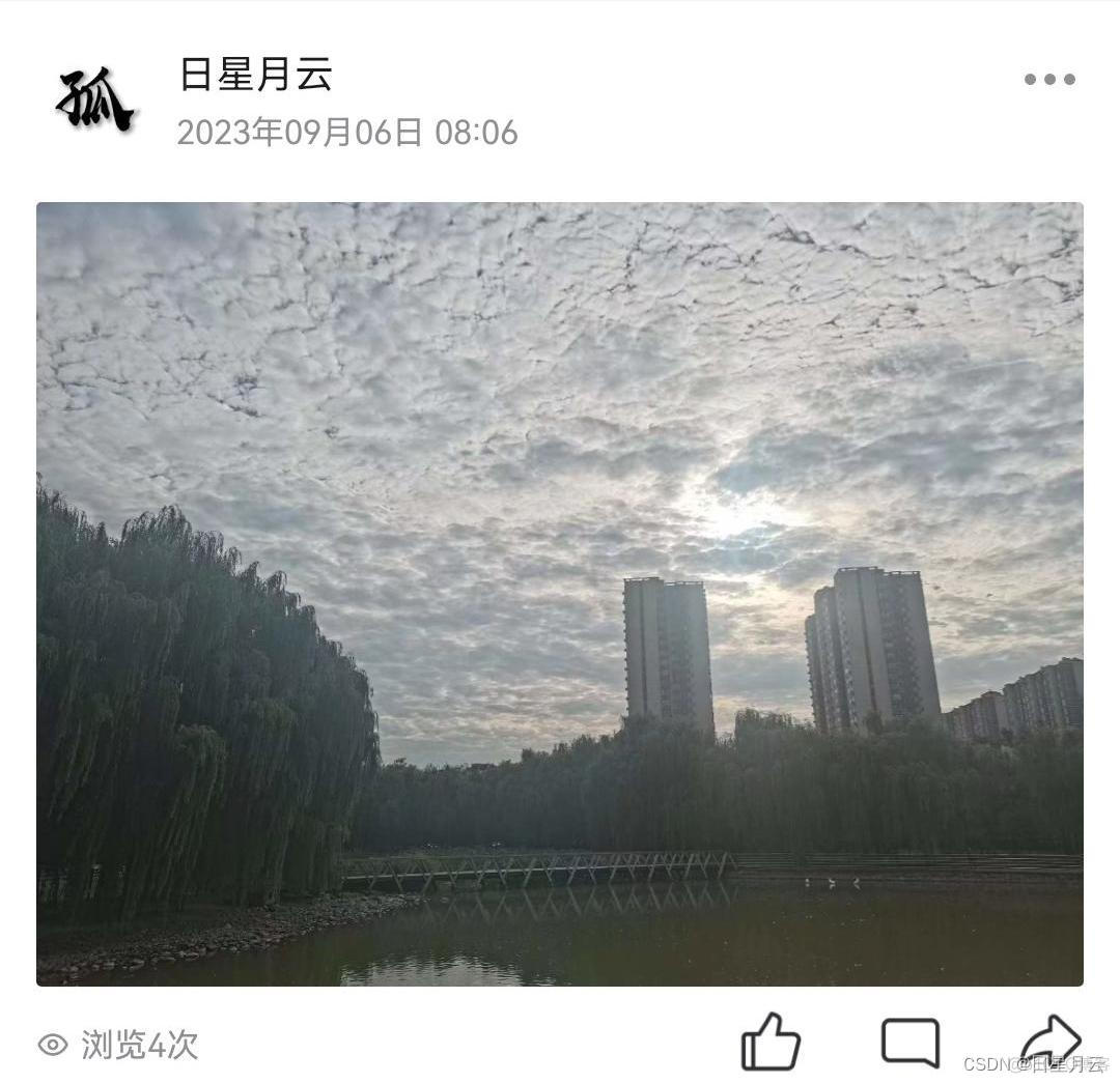 我的大学生活-桃花依旧笑春风（大四篇）_生活