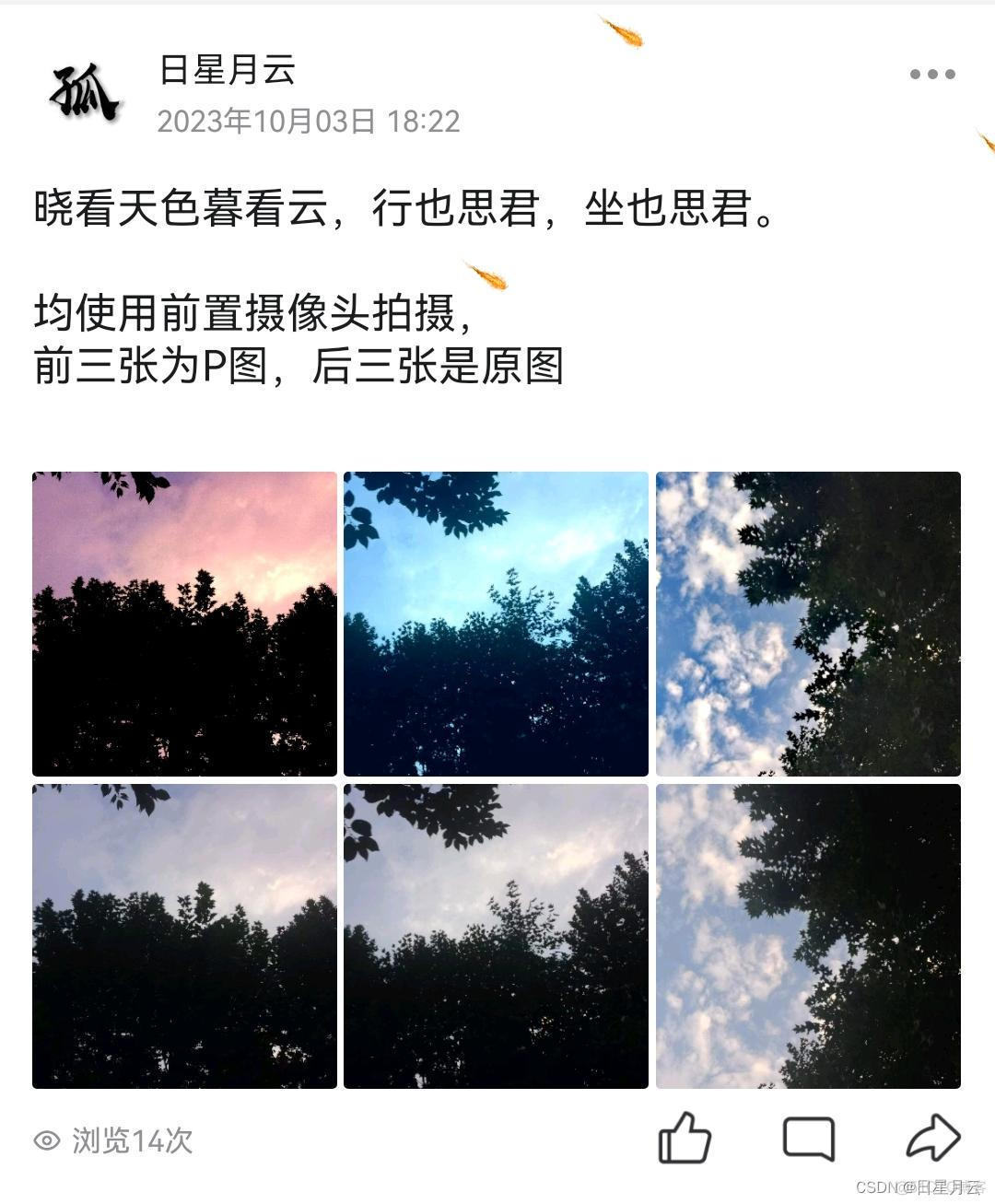 我的大学生活-桃花依旧笑春风（大四篇）_生活_16