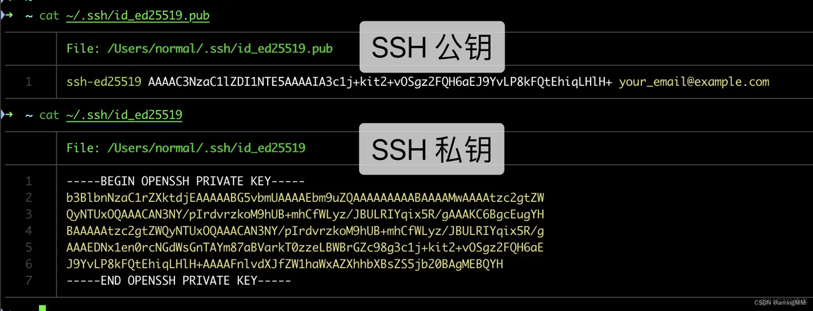 开发知识点-Git_大数据_06