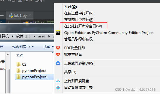 pycharm自动下载的python在哪里 pycharm自动运行代码_python_07