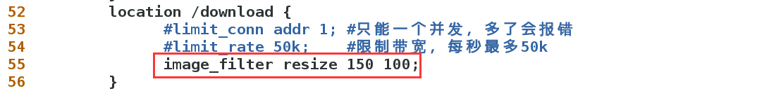nginx 没有满带宽 nginx带宽限制_配置文件_06