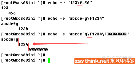 cmd中echo输出参数 linux的echo输出命令详解_转义字符_10