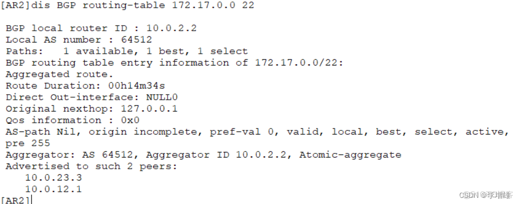 bgp 分发默认路由 bgp默认路由怎么下发_路由表_29