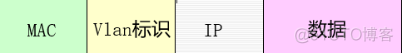 VLAN划分实例 vlan划分方式_VLAN划分实例_04