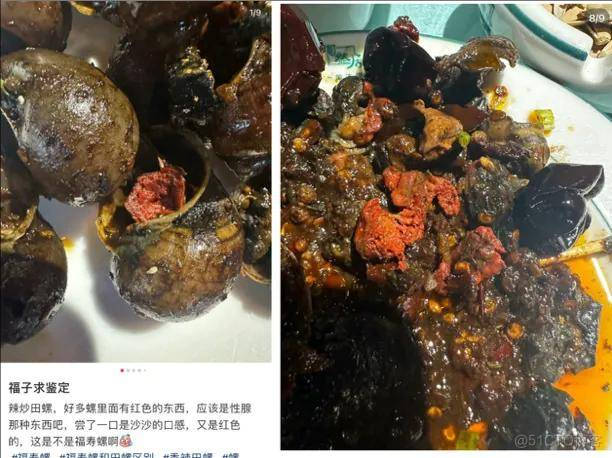 含6000条寄生虫的福寿螺，混进网红食品螺蛳粉？_数据_16