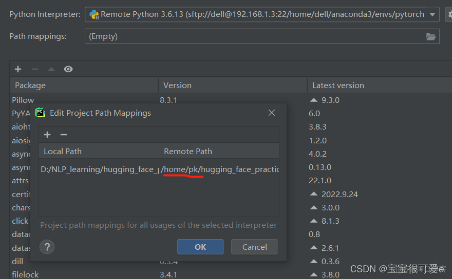 linux pycharm hadoop远程开发_Deployment_08