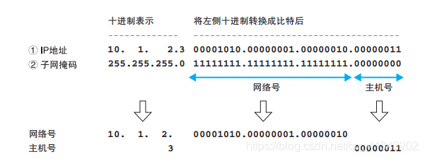 服务器如何连dockerhub_子网_03