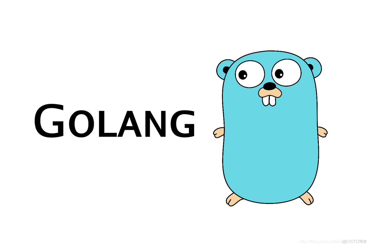 golang template 引用函数参数_值类型