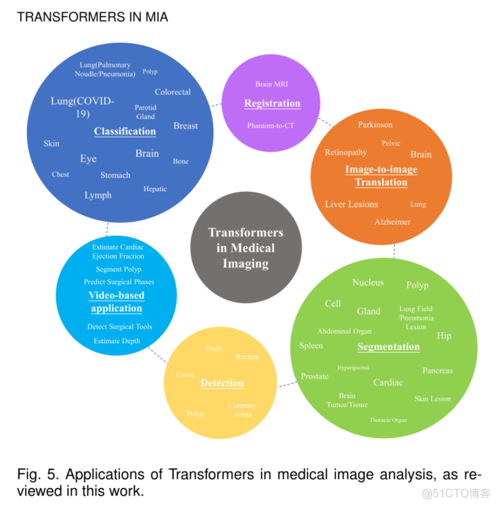 Transformer使用实例 图像识别_计算机视觉_02