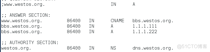 centos 正反向解析声明文件写不正确 dns会开启不了吗_DNS_25