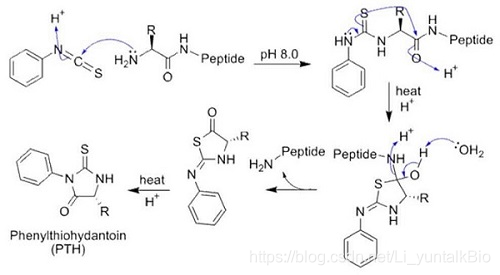 biopython获取蛋白质序列的pssm_数据库