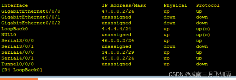 ospf实验结果与分析_网络_03