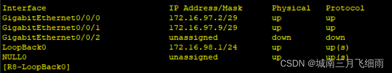 ospf实验结果与分析_网络_16