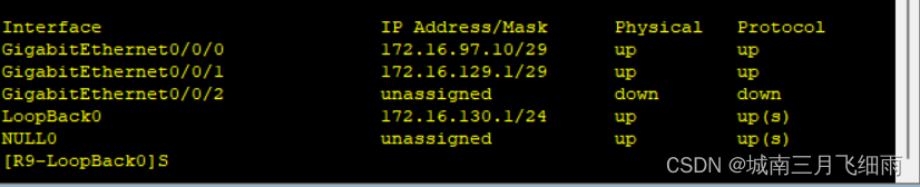 ospf实验结果与分析_网络_18