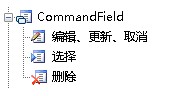 VFP通用型字段_字段_05