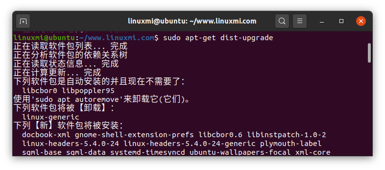 Linux系统上Todesk升级_linux upgrade tool使用_02