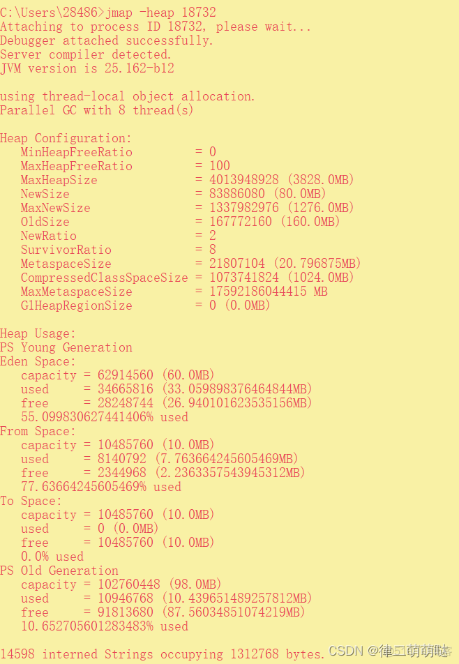 java jar包jvm调优工具_老年代_04