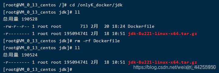 自定义镜像 既有ngnix又有java_docker_02