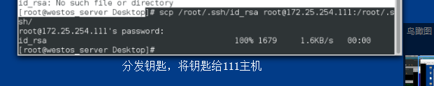 云服务器查看ssh日志_vim_17