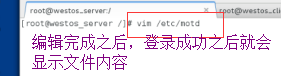 云服务器查看ssh日志_vim_30