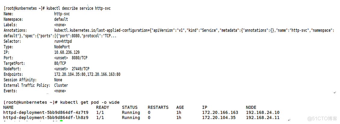 kubectl 创建pod的CreationTimestamp_DNS_08