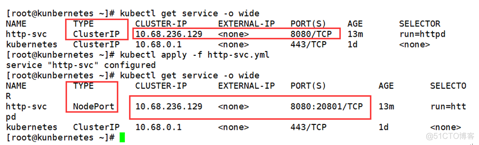 kubectl 创建pod的CreationTimestamp_DNS_18