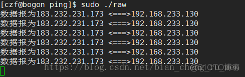 ICMP通过指定vlan_ping命令_03