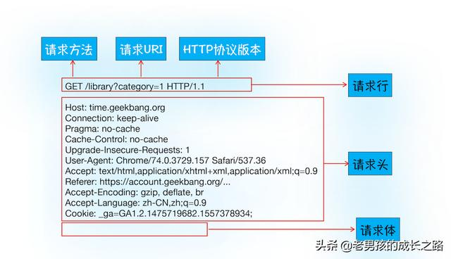 将请求获取的文件写入response_服务器_02