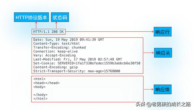 将请求获取的文件写入response_前端_03