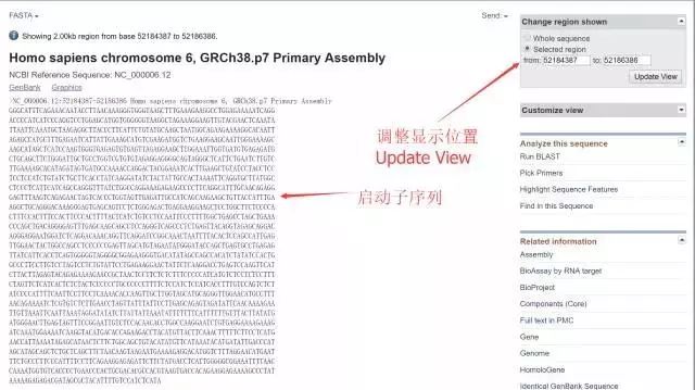 一文教会你查找基因的启动子、UTR、TSS等区域以及预测转录因子结合位点_.net_09