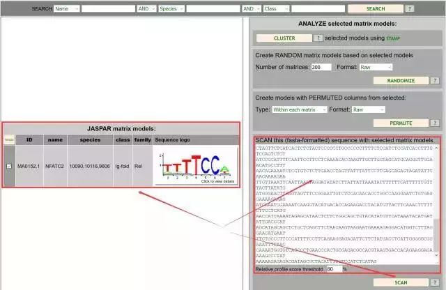 一文教会你查找基因的启动子、UTR、TSS等区域以及预测转录因子结合位点_转录组_16