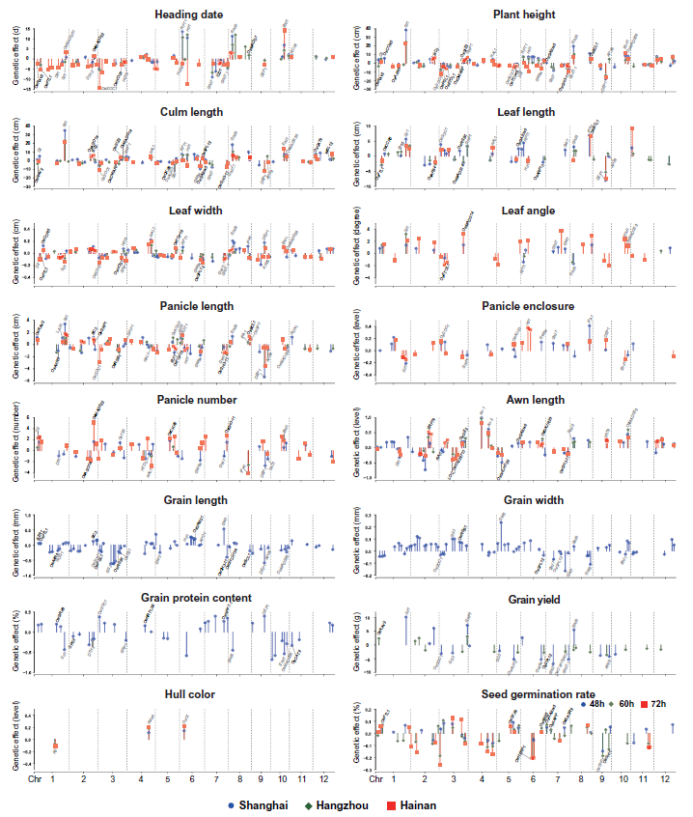 Science | 上海师范大学黄学辉团队解析水稻性状的遗传特征_主成分分析_04