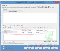 tortoiseSVN 没有上传选项_版本库_07
