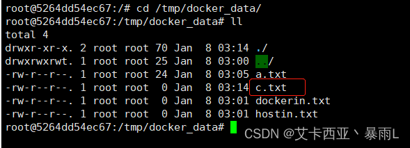 docker privileged失败_运维_12