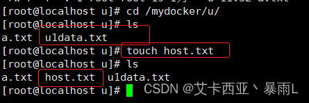 docker privileged失败_运维_17