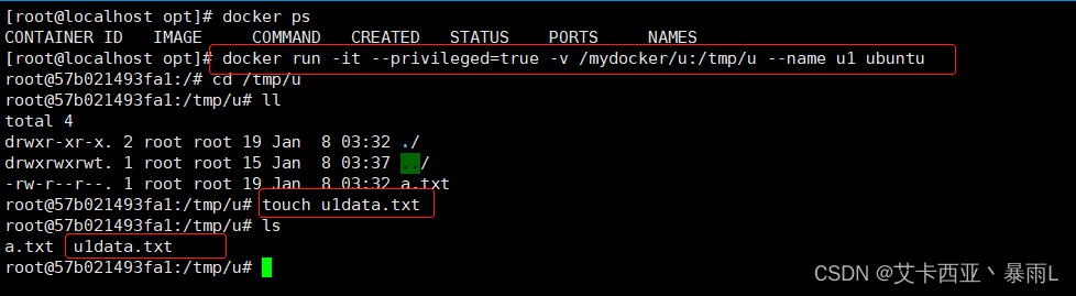 docker privileged失败_docker_18