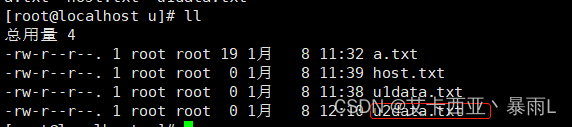 docker privileged失败_docker_21