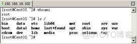 linux怎么登陆本地MySQL_远程登录_06