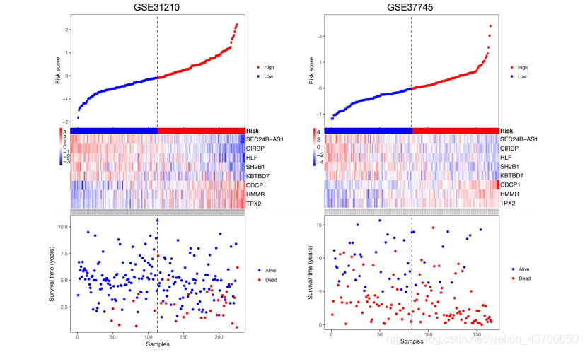 crunchy postgres 部署_Group_09