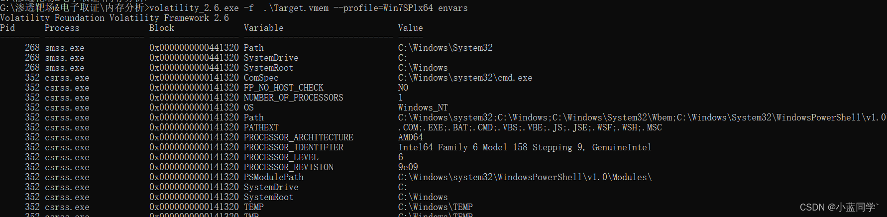 Windows内存位置镜像_ctf_09