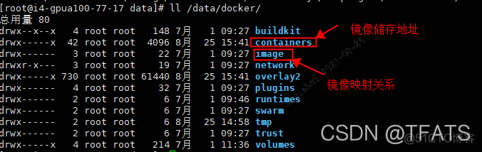 vgpu集群_docker_03