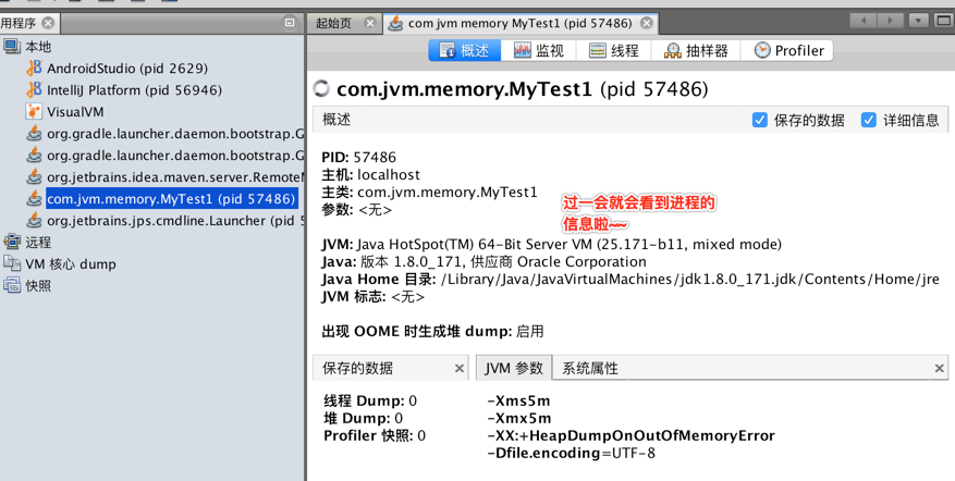 JAVA visualVM如何分析大对象_jvm_35