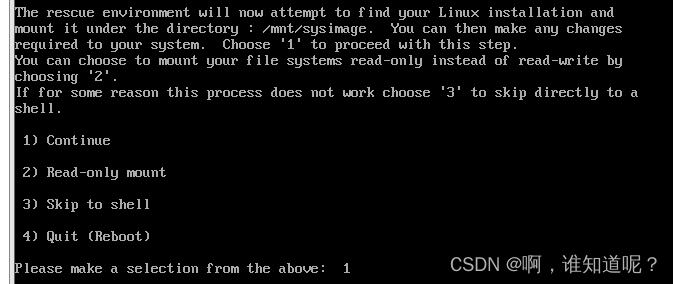 linux进入不了bios界面_服务器_06