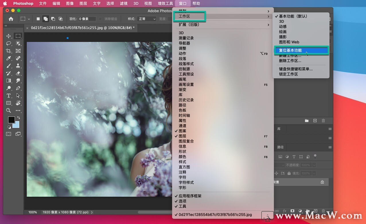 启动容器之后ps没有端口_Photoshop_26