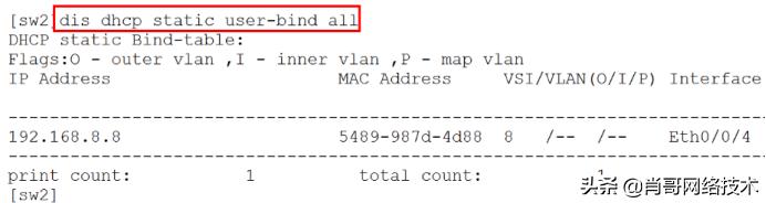 交换机端口禁用vlan1_ip地址_04