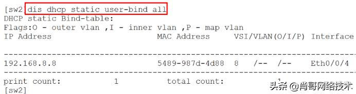 交换机端口禁用vlan1_ip地址_04