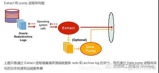 tidb数据库用什么监控_mysql_03